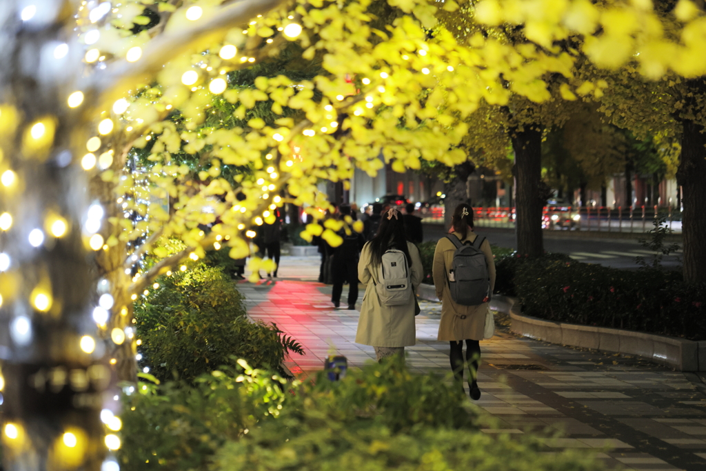 Ginkgo and Illumination