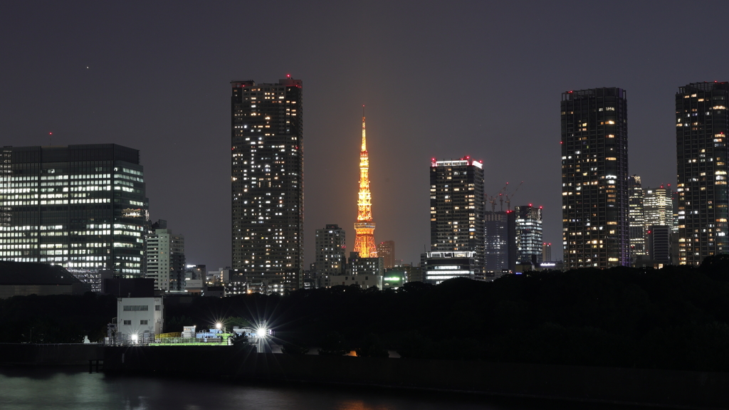 Torch of Hope (from TSUKIJI Br.)