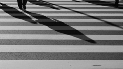 shadow of crosswalk