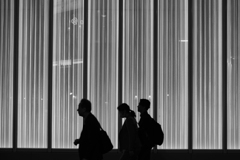 shadow of three people