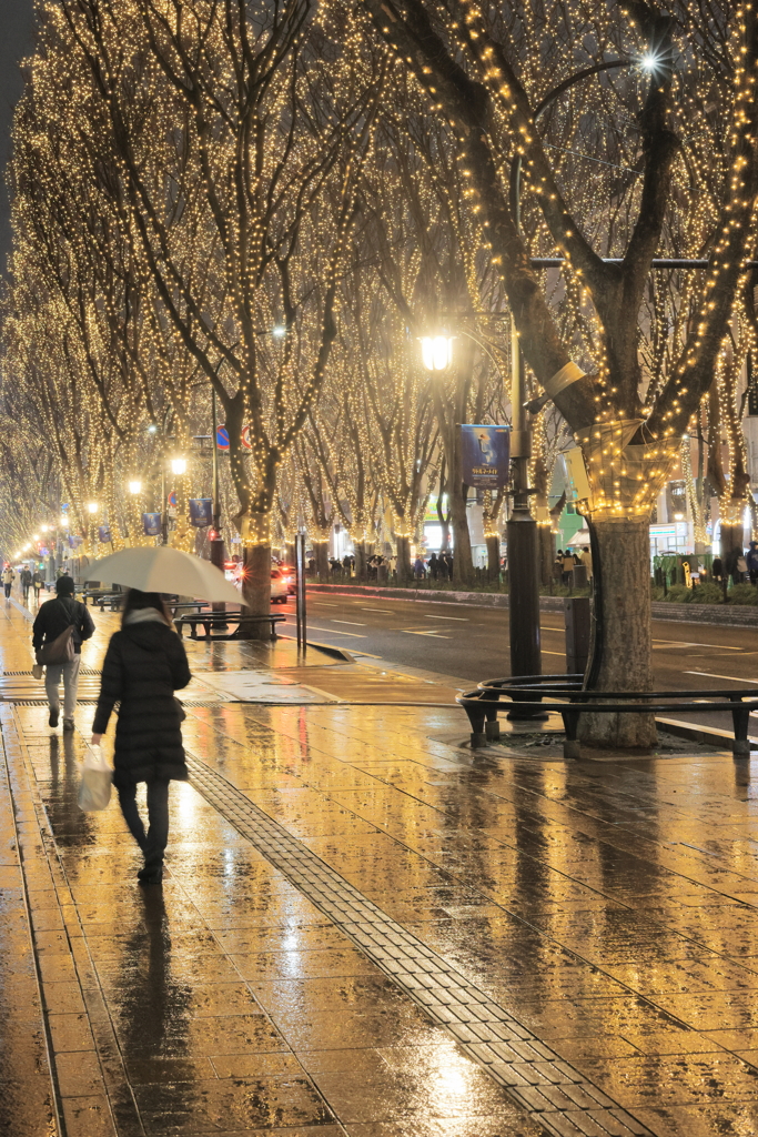 Sidewalk wet with snow