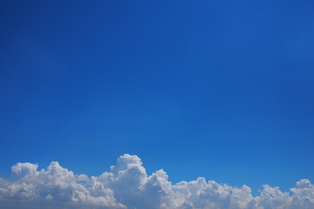 夏空　（なつそら）