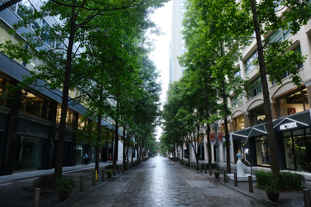 雨上がりの仲通り