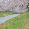 水 温 む こ ろ
