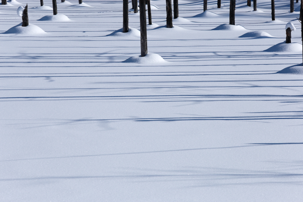 凸凸 with horizontal stripe