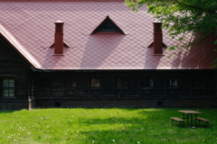 lawn and bench