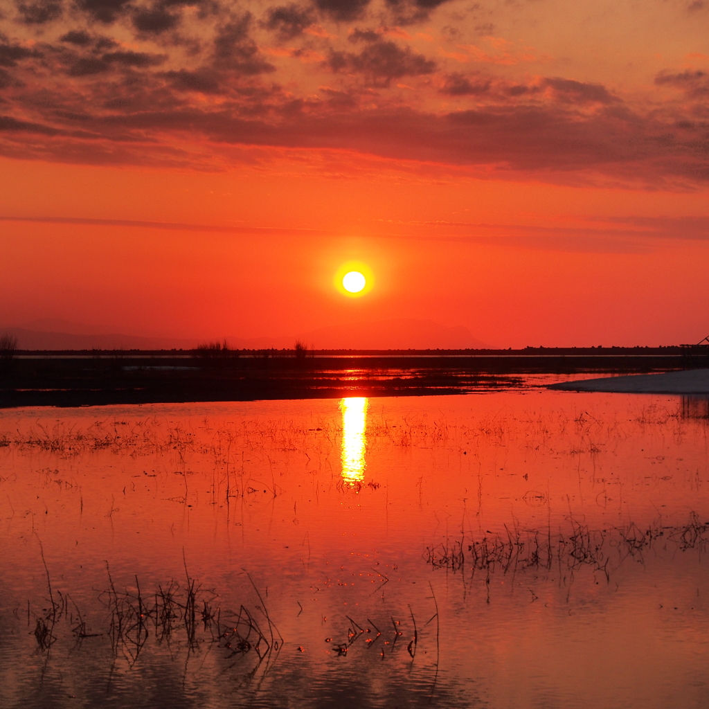 湖沼サンセット　　－ sunset in marshes －