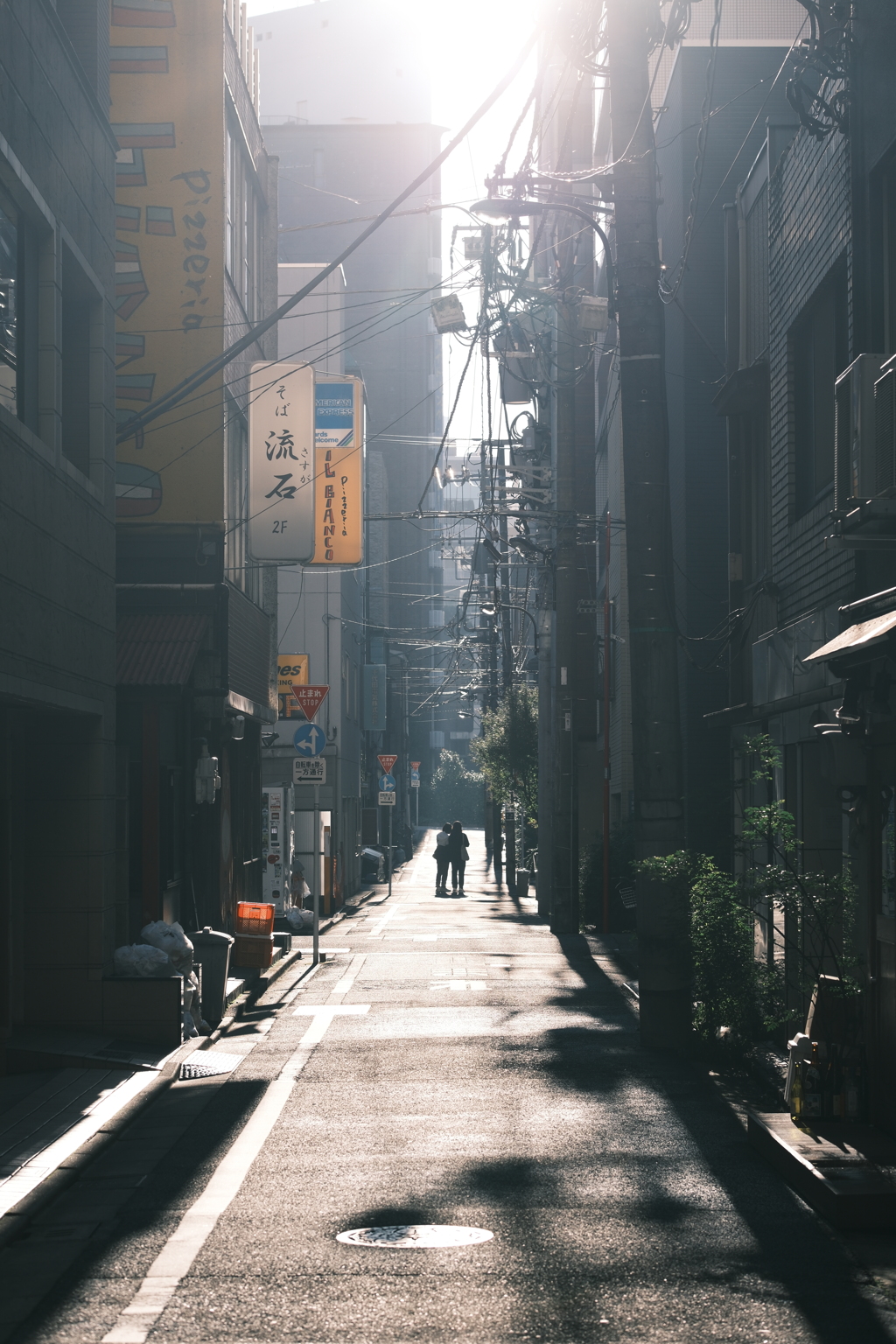 晩秋のあたたかな朝陽