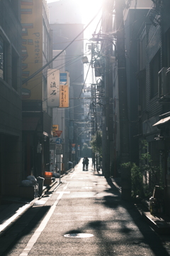晩秋のあたたかな朝陽