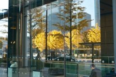 Autumn leaves reflected in the glass