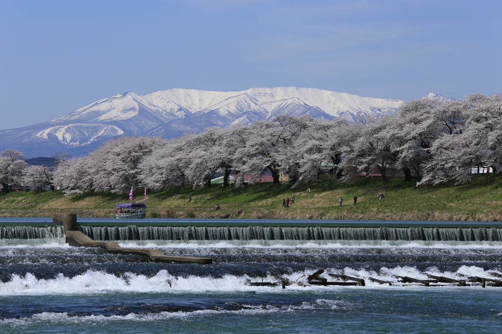 陽春の水辺