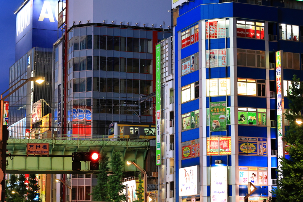 Vivid AKIBA