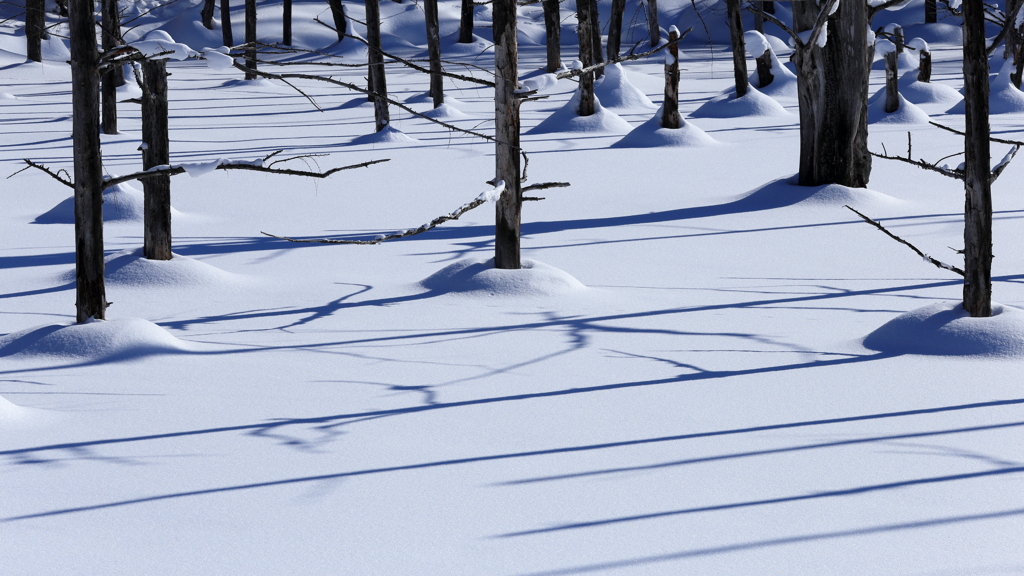 White carpet and shadow