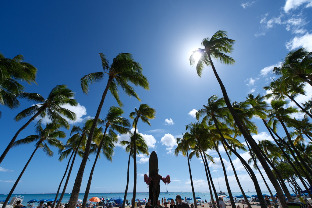 Hawaii, a dream destination