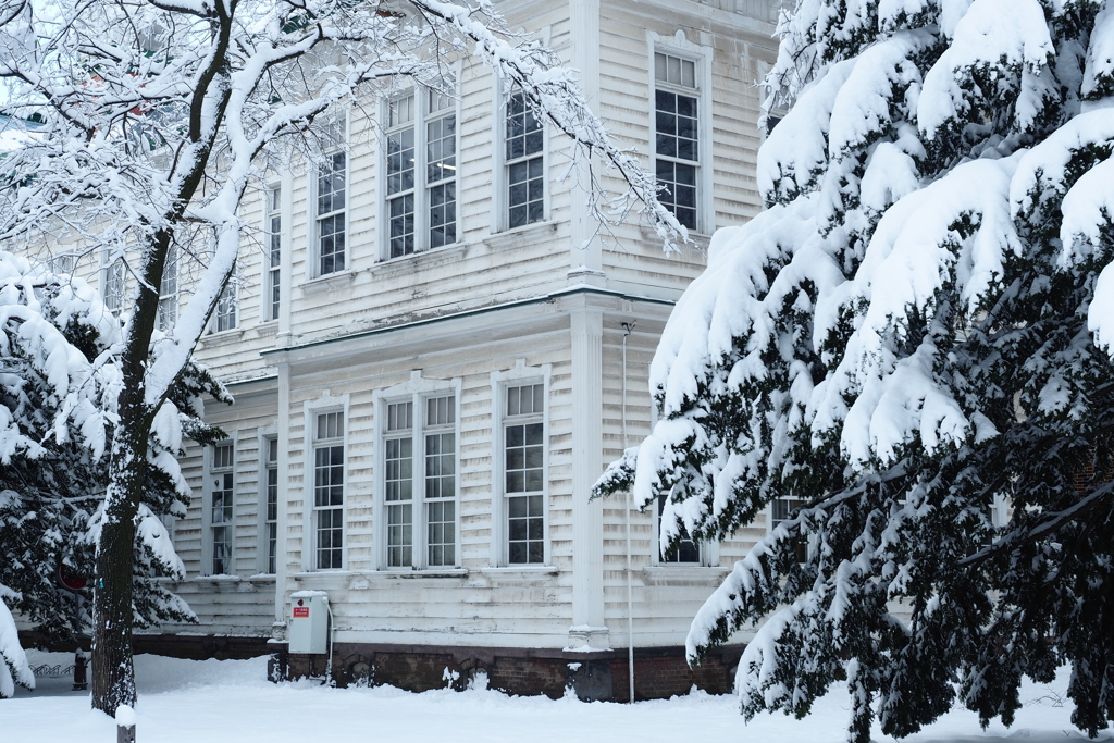 Snowy campus