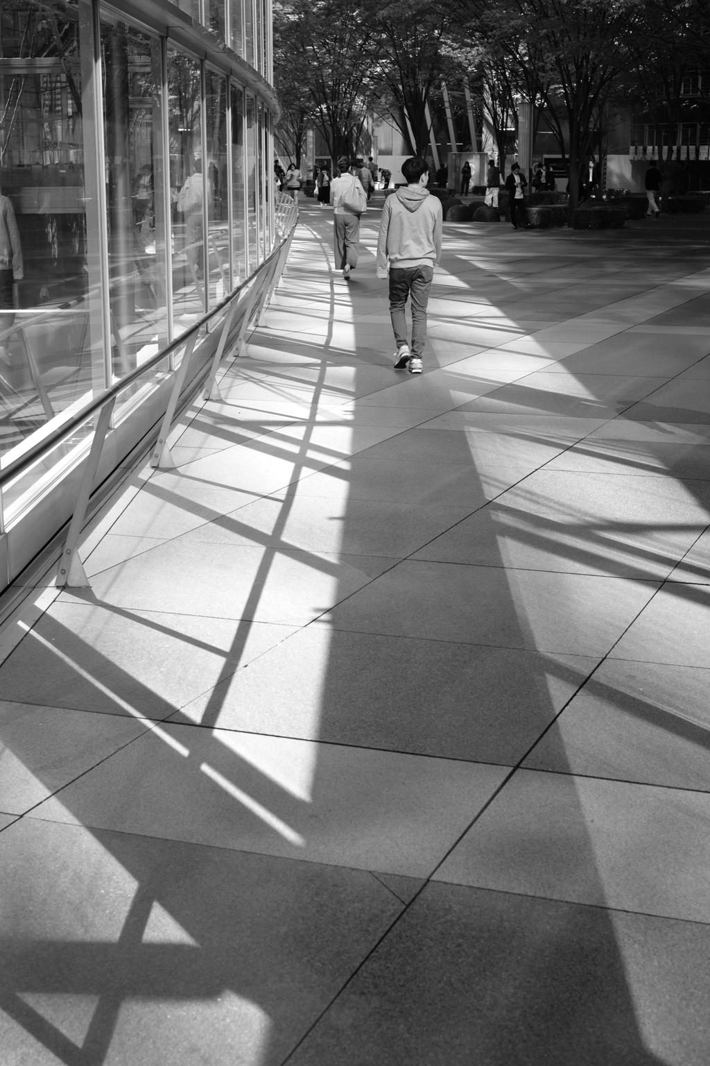 Forum at noon