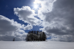 雲間に春の陽