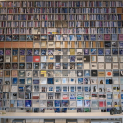 Tadao Ando's Intellectual Approach