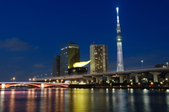 初夏のSkyTree