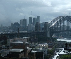 雨上がりの陽が射して