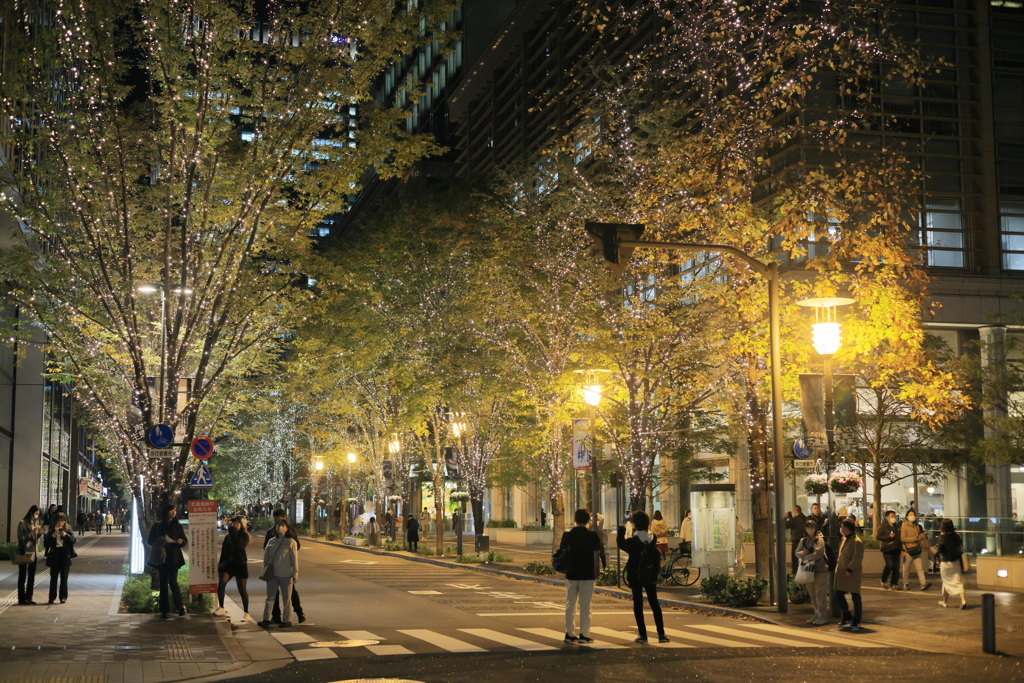 Marunouchi Naka-dori Nov. 25