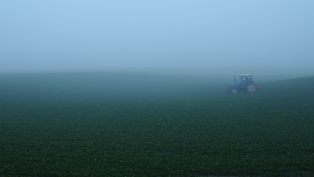 Fog of farmer