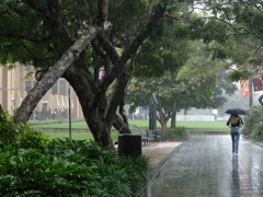 A woman alone in the rain
