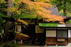 和彩　（わさい）