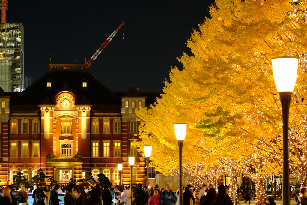 Autumn leaves at Tokyo Station