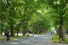 Daily life at Hokkaido University