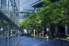 雨上がりの朝