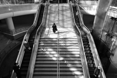 One Stair and Two Escalators