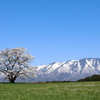 春 の 歓 び