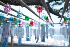 夏鈴　（かりん）