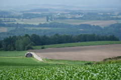 Unforgettable Hill
