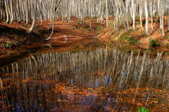 鏡面　（きょうめん）