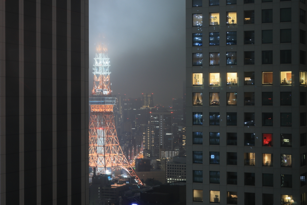 Tokyo Tower is in the fog