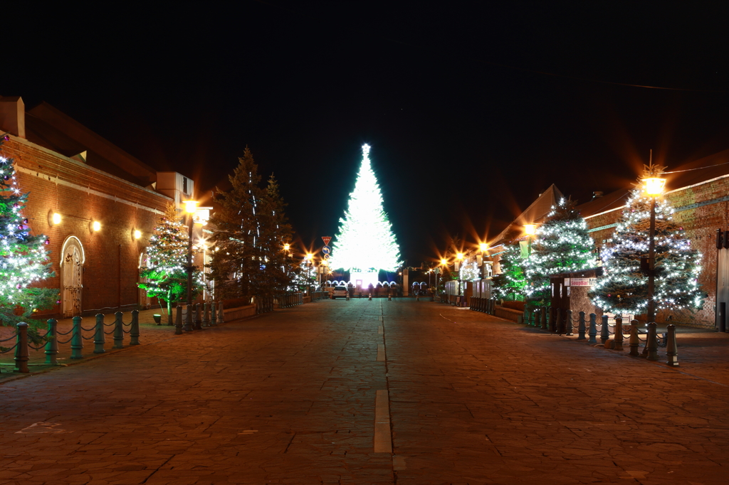 Christmas Eve is solemnly　　　～ 聖夜は厳かに ～