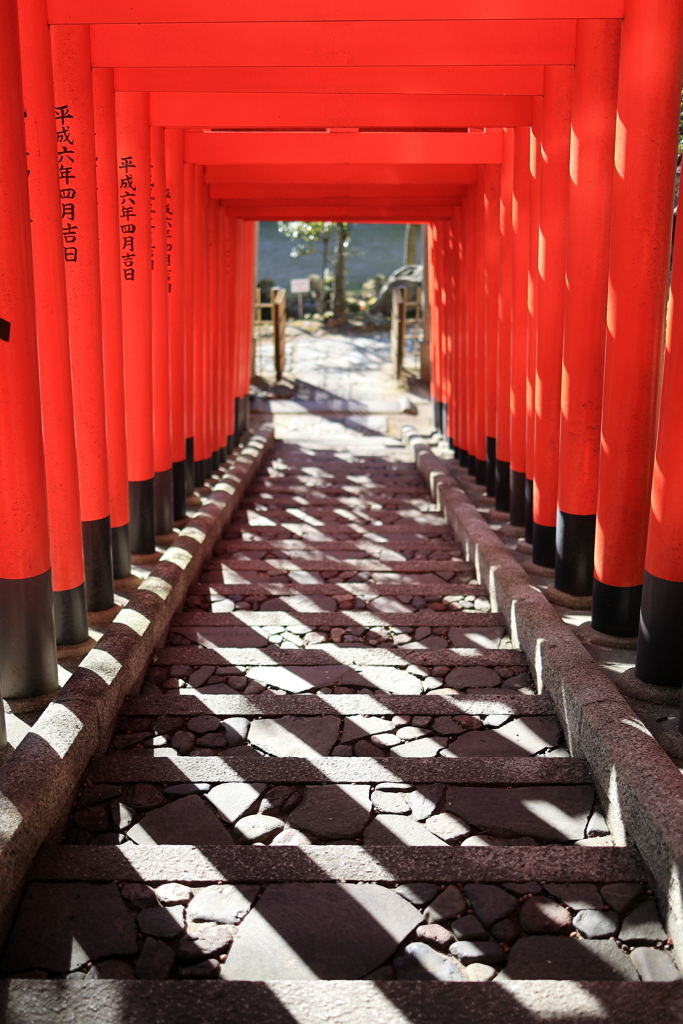 鳥居を抜けて・・・