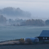 Morning mist and silent morning
