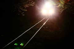 Light , together with train