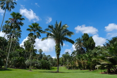 『Singapore Botanic Gardens』