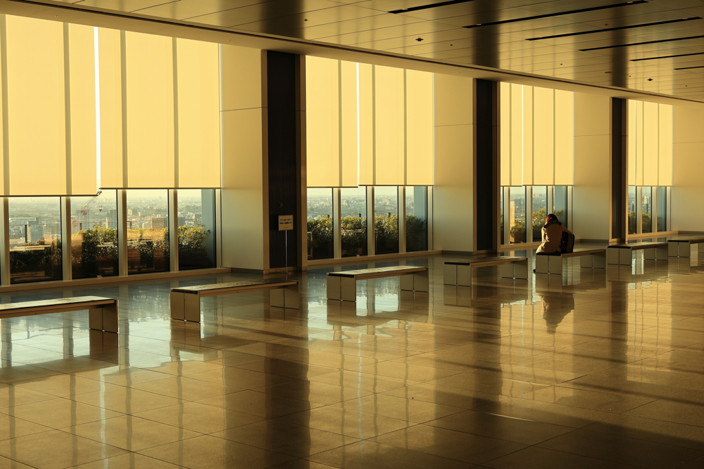 優照　（ゆうしょう）