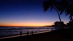 Hawaiian Dreamy