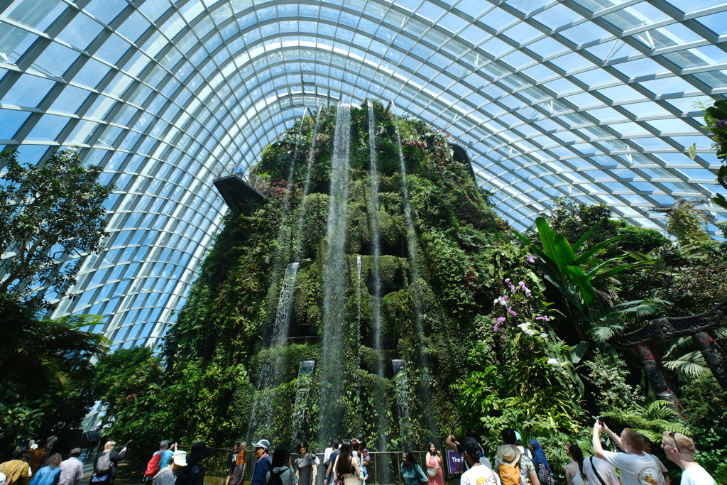 Garden inside a huge greenhouse
