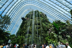 Garden inside a huge greenhouse