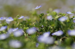 暖かな陽を浴びて、う～～～と背伸び