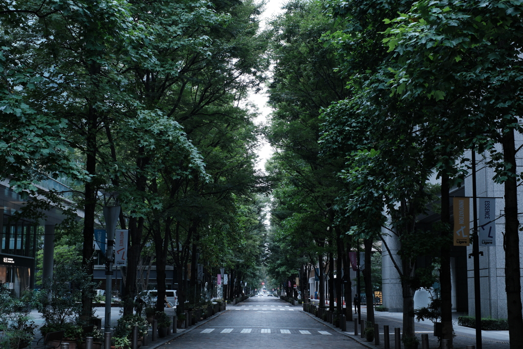 すこし湿り気を感じる朝