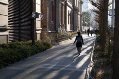 Walkway of sun and shadow