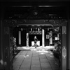 夏詣　（なつまうで）